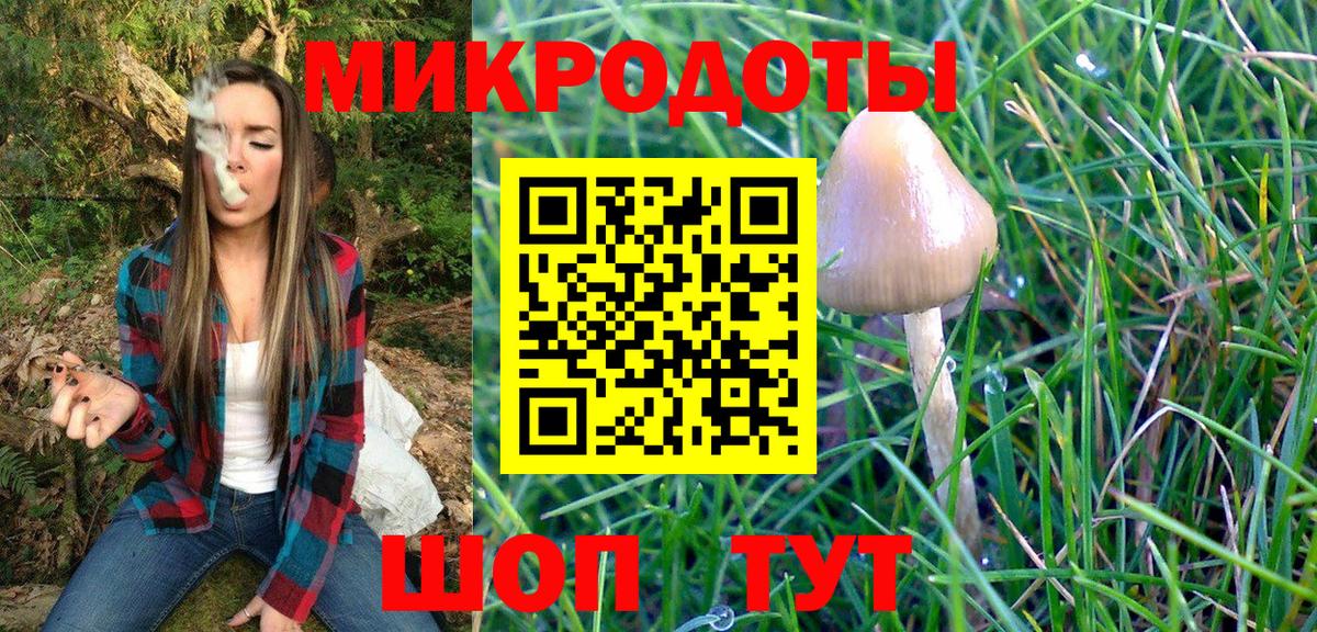 Галлюциногенные грибы GOLDEN TEACHER  Вход с VPN  Сосновый Бор  Галлюциногенные грибы GOLDEN TEACHER 