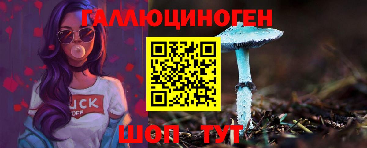 Псилоцибиновые грибы ЛСД Сосновый Бор
